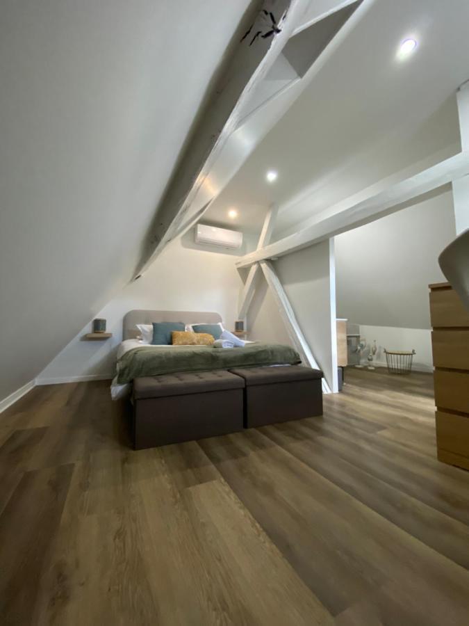 Comfortable Air-Conditioned T3 In The Heart Of Amboise With Parking Space المظهر الخارجي الصورة