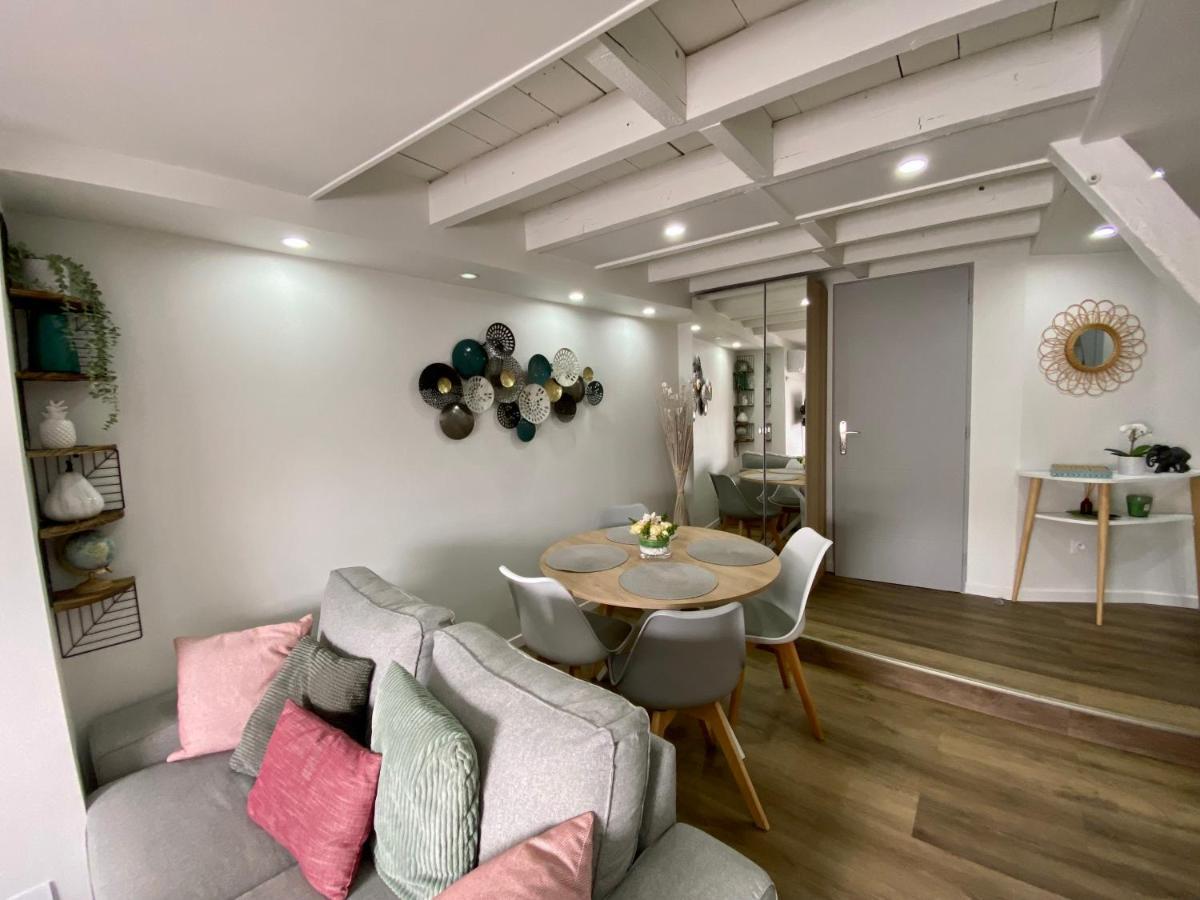Comfortable Air-Conditioned T3 In The Heart Of Amboise With Parking Space المظهر الخارجي الصورة