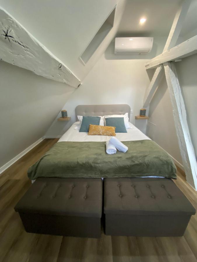 Comfortable Air-Conditioned T3 In The Heart Of Amboise With Parking Space المظهر الخارجي الصورة